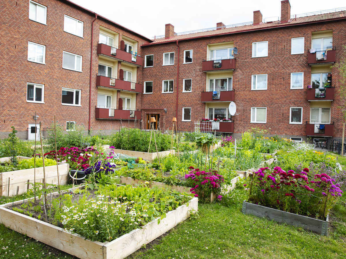 Prunkande odlingslådor på innergård